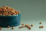 Feeding Your Furry Friend on a Budget: Where to Find Free Dog Food and samples